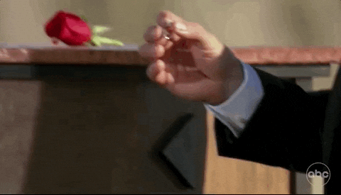 Congratulations On Your Engagement Proposal GIF