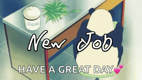 Congratulations On Your New Job Great Day GIF
