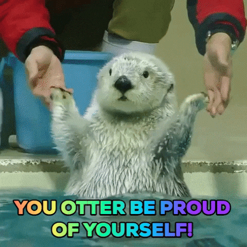 Congratulations On Your New Job Proud Of Yourself GIF