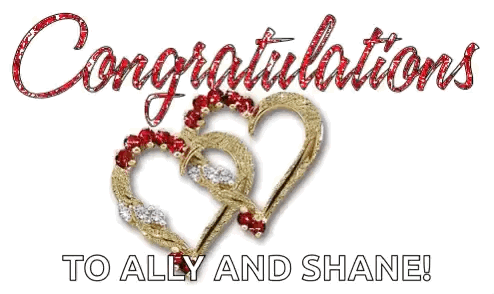 Congratulations Wedding Ally Shane GIF