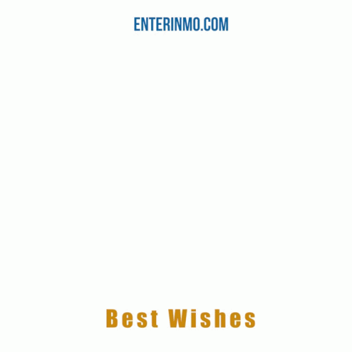 Congratulations Wedding Couple Spinning GIF