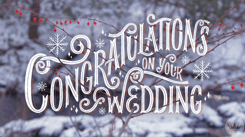 Congratulations Wedding Snowy GIF