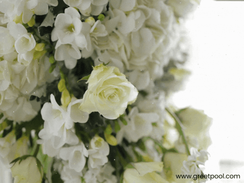 Congratulations Wedding White Flowers GIF