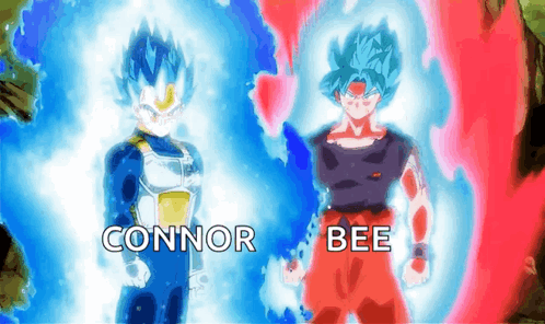 Connor And Bee Are Standing Next To Each Other In A Battle GIF