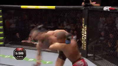 Conor Mcgregor Fighting Opponent GIF
