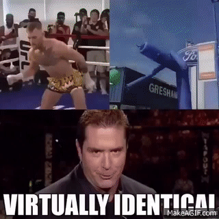 Conor Mcgregor Virtually Identical Meme GIF