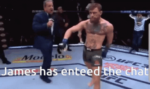 Conor Mcgregor Walk As James Entered The Chat GIF