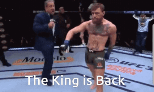 Conor Mcgregor Walk As King Is Back GIF