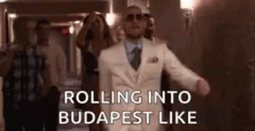 Conor Mcgregor Walk Rolling Into Budapest GIF