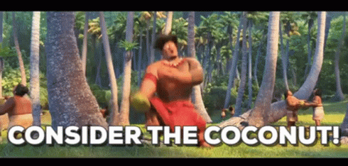 Consider The Coconut Tree GIF