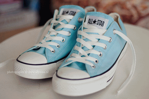 Converse Chuck Bush Shoe GIF