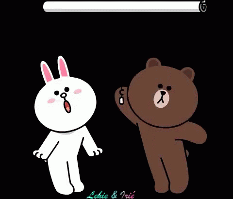Cony And Brown 480 X 410 Gif GIF