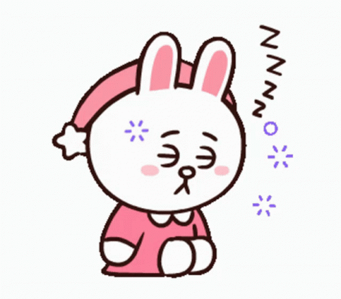 Cony And Brown Sleeping Zzz GIF