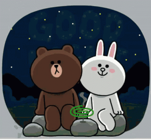 Cony And Brown Good Night Sky GIF