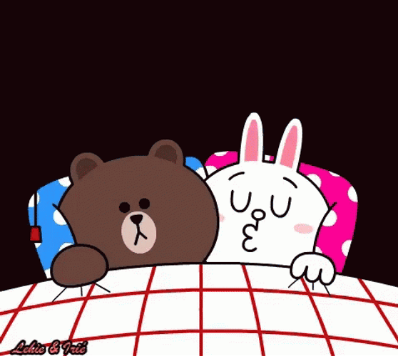 Cony And Brown GIF