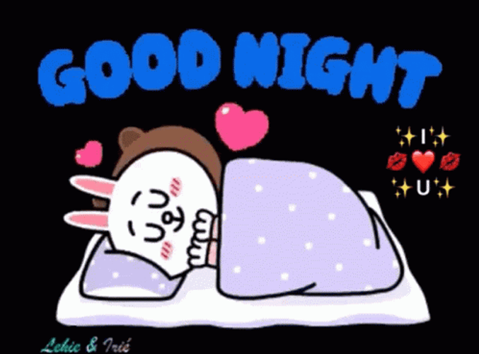 Cony And Brown Good Night GIF