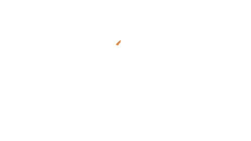 Cook to Go Logo with Flame