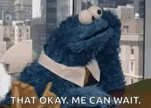Cookie Monster From Sesame Street Is Sitting In Front Of A Window And Says `` That Okay , Me Can Wait '' . GIF