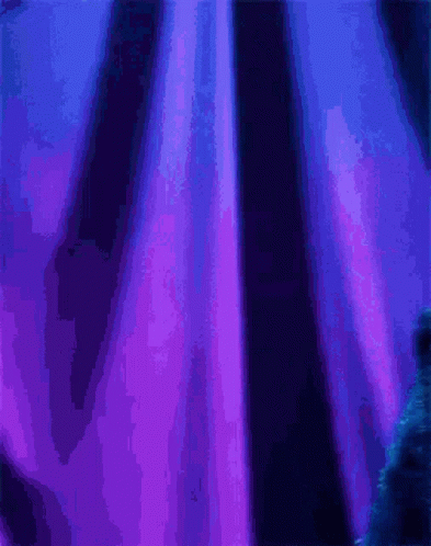 Cookie Monster Standing In Front Of Blue Curtain GIF