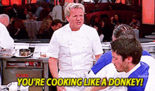 Cooking Like A Donkey GIF