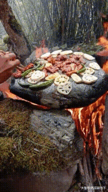 Cooking On A Rock GIF
