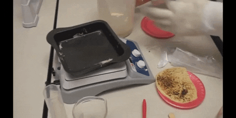 Cooking Pouring Pancake Mixture GIF