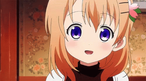 Cool Anime Cocoa Hoto Is The Order A Rabbit? GIF