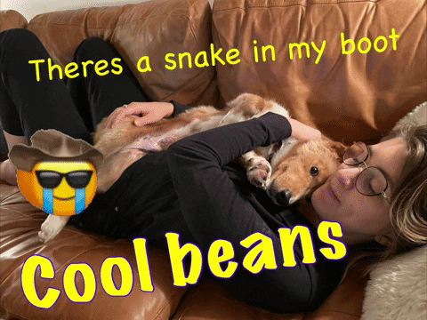 Cool Beans Dog Hug Meme GIF