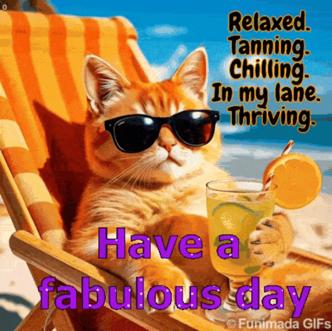 Cool Cat in Beach Chair with Drink