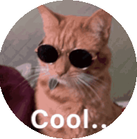 Cool Cat Sticker GIF