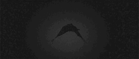 Cool Crow Animation GIF