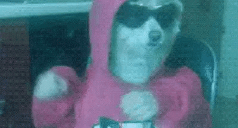 Cool Dancing Dog Rave Party GIF
