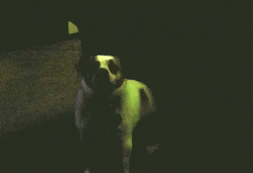 Cool Dog Rave Dance Moves GIF