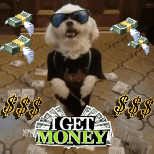 Cool Dog With Money GIF