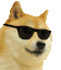 Cool Doge Dogeheadbang Sticker GIF