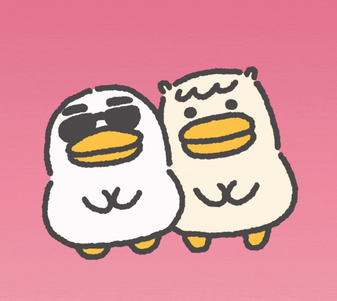Cool Ducks Dancing Apt GIF
