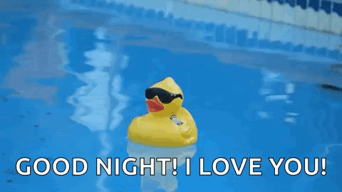 Cool Ducky Goodnight I Love You GIF