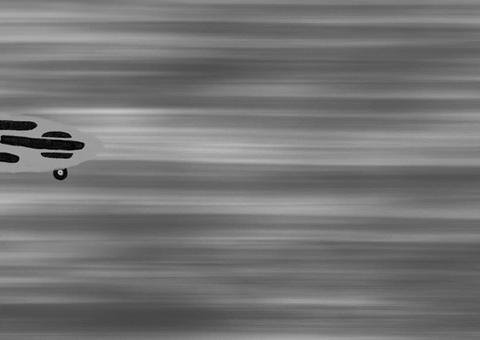 Cool Girl Skateboard Black White GIF