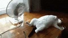 Cool Off Too Hot Gif GIF