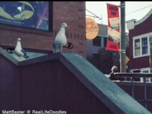 Cool Seagull Slide Skate Boarding Animation GIF
