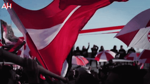 Cool Tunisia Flag Souvenirs GIF