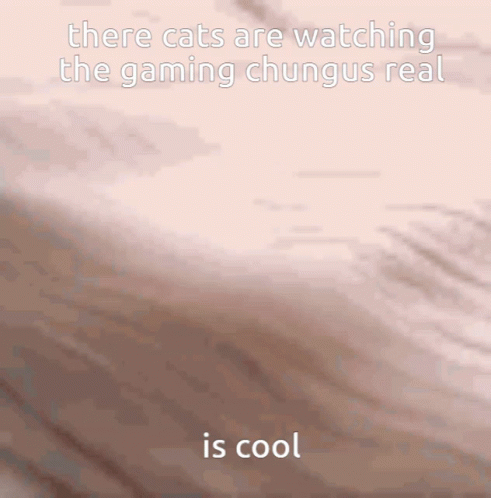 Coolio Cat Sleeping Cute GIF
