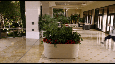 Paul Bratt Mall Cop Sliding GIF