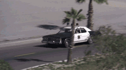 Police Car Cops On Duty GIF
