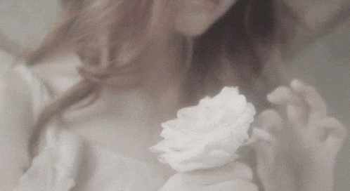 Coquette Murote Gif GIF