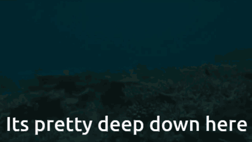 Coral Reef Saying It's Pretty Deep Down Here GIF