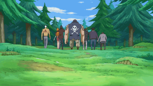 Corazon One Piece Fall Down The Ground GIF