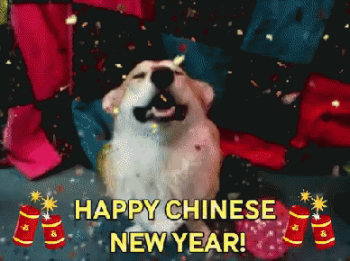 Corgi Celebrating Lunar Chinese New Year GIF