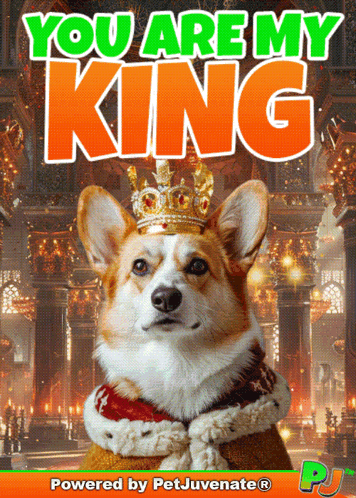 Corgi Wearing Crown Saying You Are My King GIF