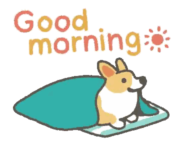 Corgi Wrapped in Blanket Good Morning